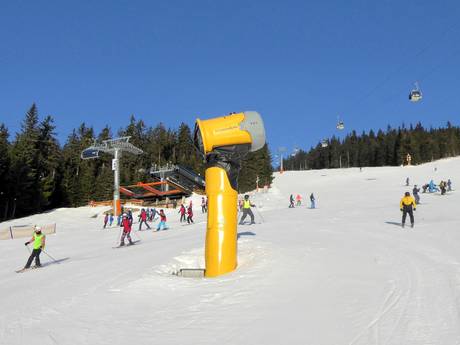 Schneesicherheit Tschechische Sudeten – Schneesicherheit Černá hora – Janské Lázně