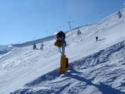 Leistungsstarke Beschneiung