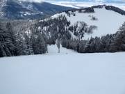 Schwere Abfahrt Beaver Dick's