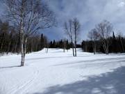 Leichte bis mittelschwere Piste Des Bouleaux