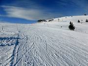 Kleine Belchenabfahrt