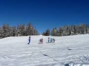 Am Übungslift Obergassalm sind Anfänger sehr gut aufgehoben