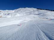 Übungspiste Alp da Munt