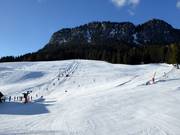 Pisten am Grafenwiesenlift