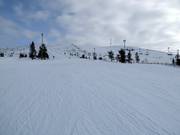Leichte Piste am Tellerlift Aurinkosompa