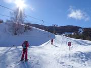 Riedlift - Tellerlift