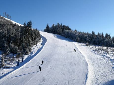 Tschechien: Testberichte von Skigebieten – Testbericht Pleßberg (Plešivec) – Abertamy