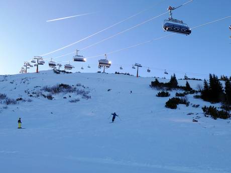 Skigebiete für Könner und Freeriding Chiemgauer Alpen – Könner, Freerider Steinplatte Winklmoosalm – Waidring/Reit im Winkl