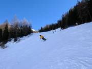 Schwarze Piste Grünboden