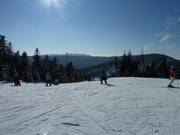 Skiabfahrt am Hundseck