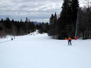 Leichte Piste am Schlepplift im Talbereich
