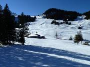 Blick auf die Abfahrt Wildgunten