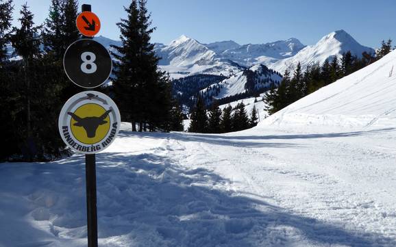Skigebiete für Könner und Freeriding Saanetal – Könner, Freerider Rinderberg/Saanerslochgrat/Horneggli – Zweisimmen/Saanenmöser/Schönried/St. Stephan
