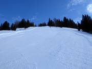 Schwarze S4a Mooskar