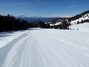 Mittelschwere Piste Doladizza