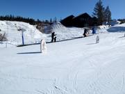 Kostenloses Förderband Rullis