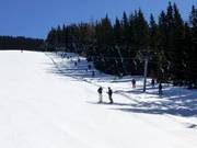 Weitmoos-Tellerlift - Tellerlift