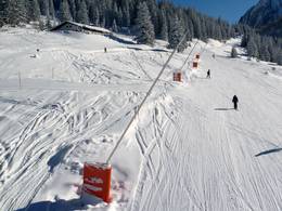 Ehrwalder Alm – Ehrwald