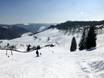 Schwarzwald: Größe der Skigebiete – Größe Muggenbrunn
