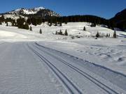 Valepper Almen Loipen am Spitzingsee