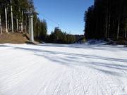 Sehr leichte Waldabfahrt in Lavarone