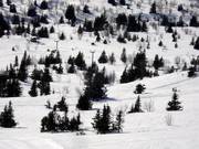 Galtenheisen - Schlepplift mit T-Bügel/Anker