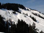 Tiefschneehänge am Brandstadl