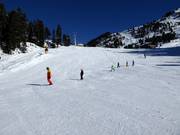 Anfänger am Weselelift