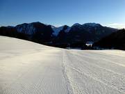 Frisch präparierter Osthang