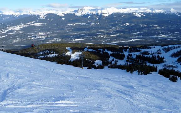 Jasper-Nationalpark: Größe der Skigebiete – Größe Marmot Basin – Jasper