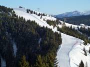 Blick auf die Piste Rainer Nr. 21