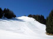 Schwarze Piste neben dem Gipfellift