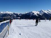 Tipp für die Kleinen  - Übungsland Lärchwald