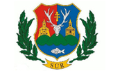 Súr