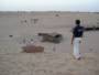 Sandboarding Dubai
