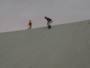 Sandboarding Mesaieed (Doha)