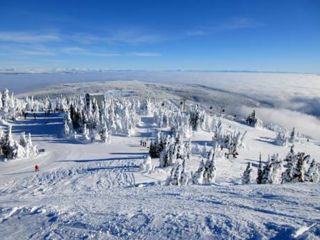 Pacific Coast Ranges: Testberichte von Skigebieten – Testbericht Sun Peaks