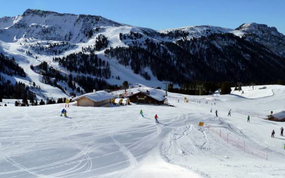 Skifahren im Val di Fiemme (Fleimstal)