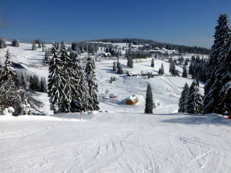 Schwarzwald: Größe der Skigebiete – Größe Feldberg – Seebuck/Grafenmatt/Fahl