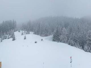 Brandnertal - Panoramabahn Burtschasattel