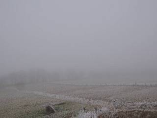 Herchenhainer Höhe - Vogelschmiede