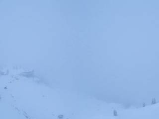 Donnersbachwald – Riesneralm