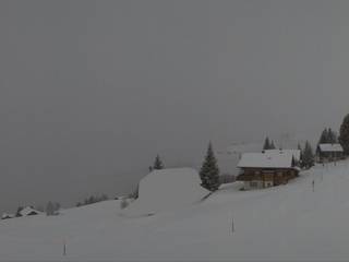 Biel Kinzig AG - Weissenboden