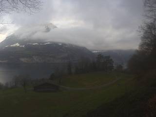 Rütli Mccardell GmbH