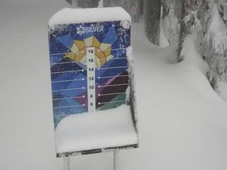 Kellogg Snow Stake