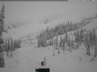 Great Bear Top/Lizard Bowl