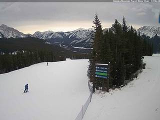 Nakiska Top of Silver Chair
