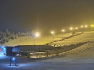 Nesfjellet-Expressen/Dalstasjon