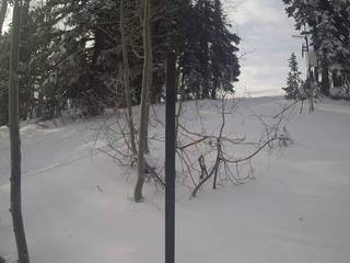 Snow Stake/Top Beaver Face Lift