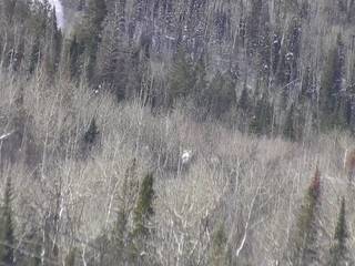 Flat Top Flyer/Easy Rider/Powderhorn Base